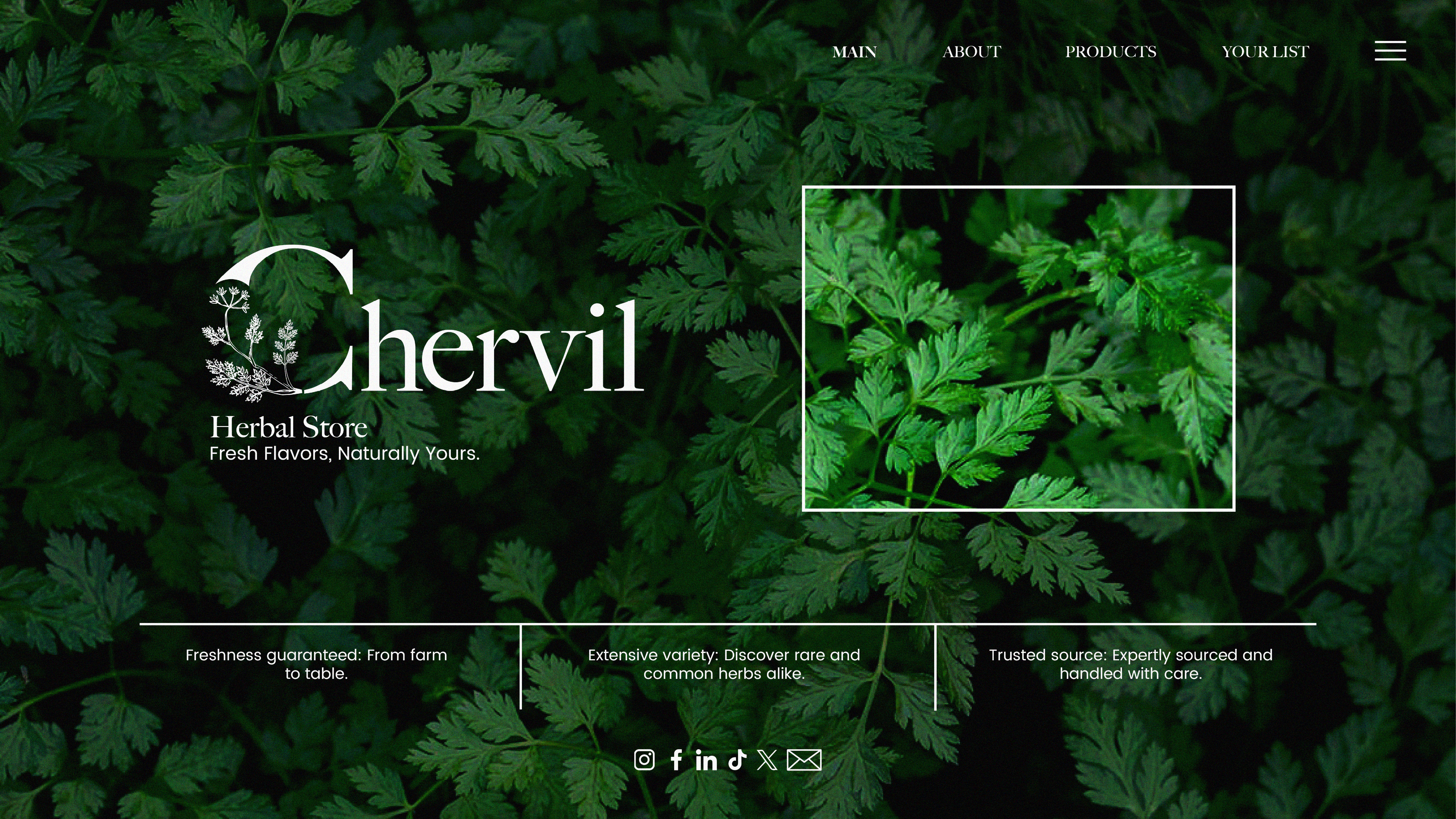 Website - Chervil Store